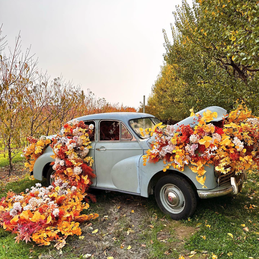 S&R Orchards Autumn Festival