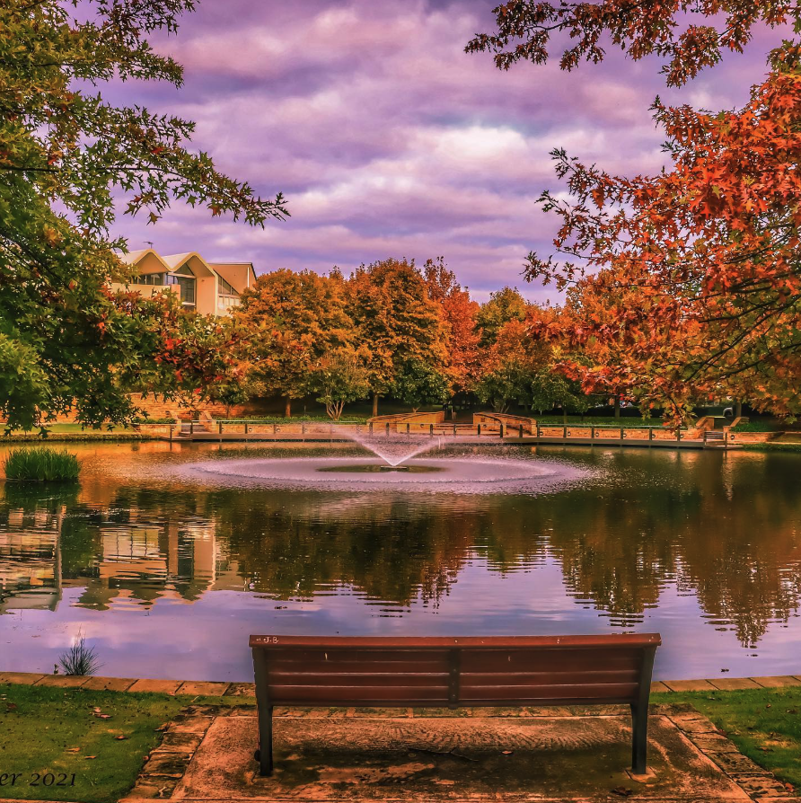 Subiaco Common in Autumn
