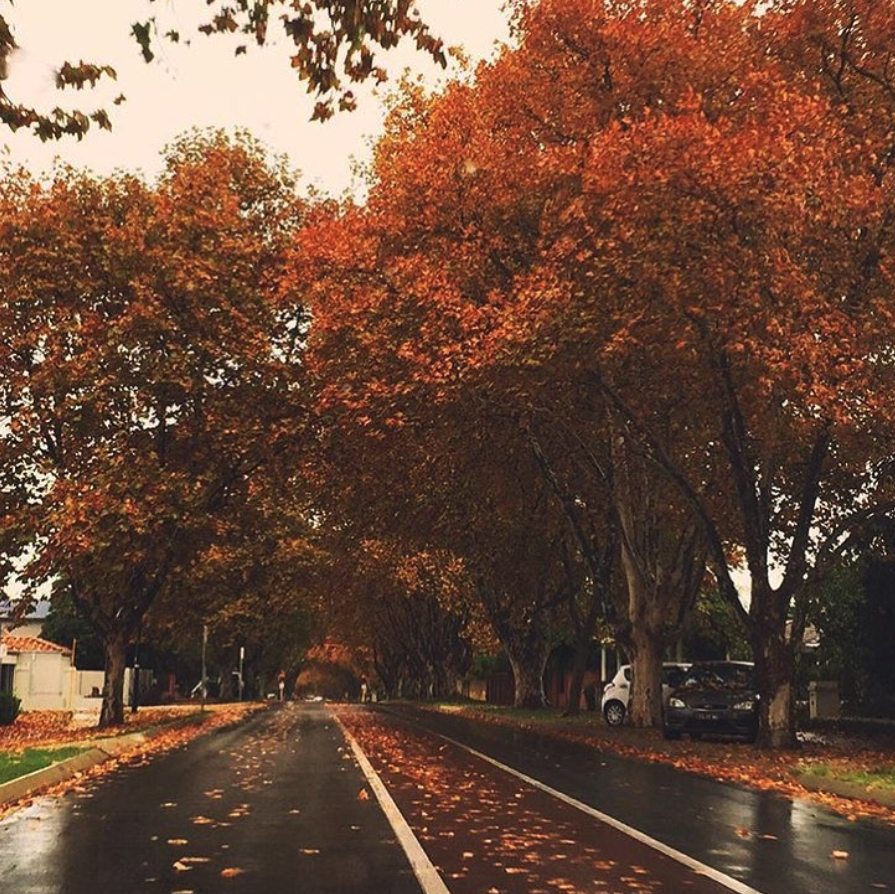 Applecross Kintail Road in Autumn