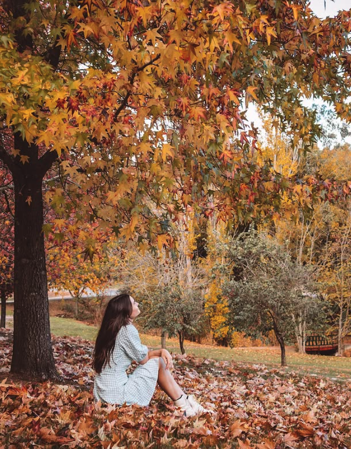 Borrello Park in Autumn
