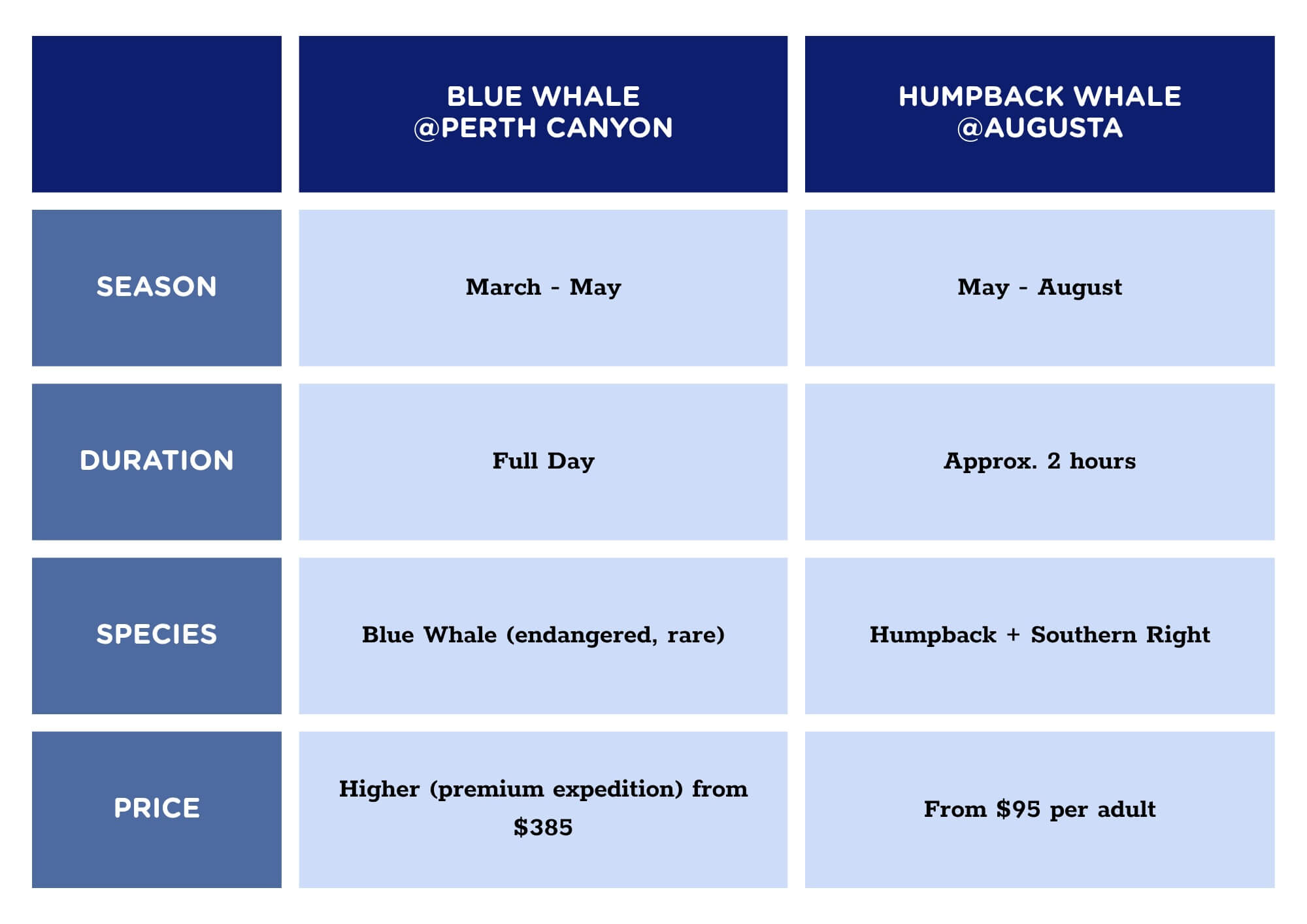 Whale Watching Comparison